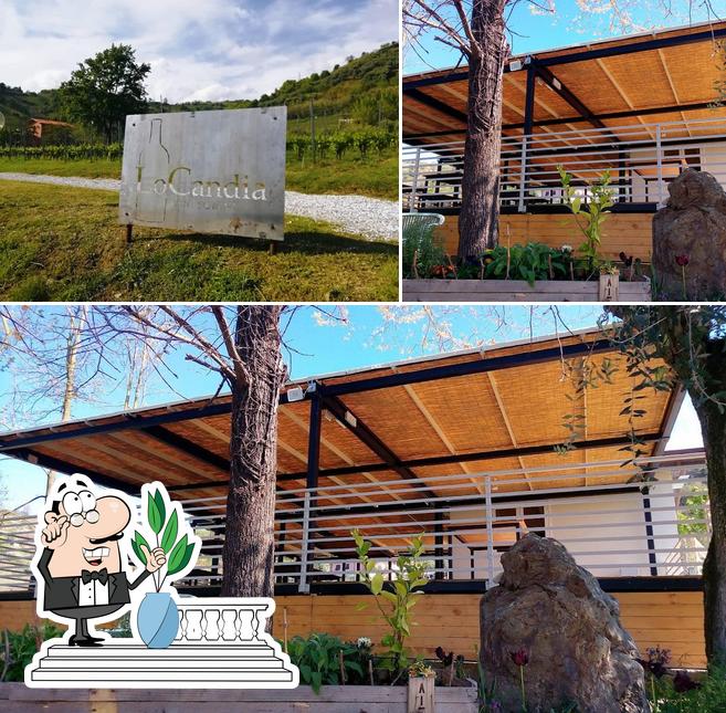 LoCandia