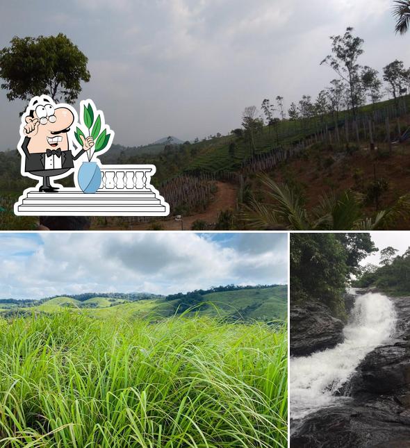 The exterior of Breezy Point, Karimattam Estate