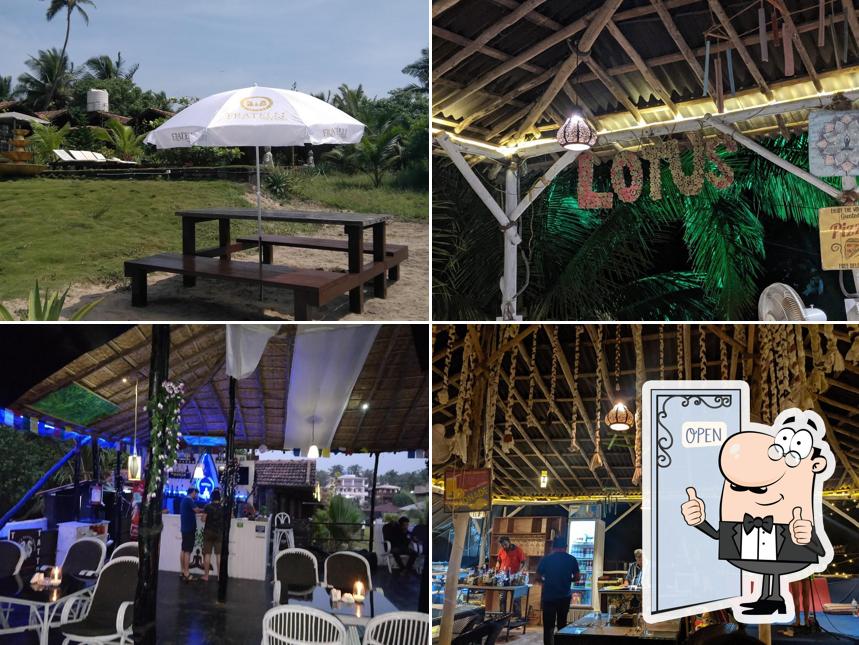 Here's a pic of Zen oasis