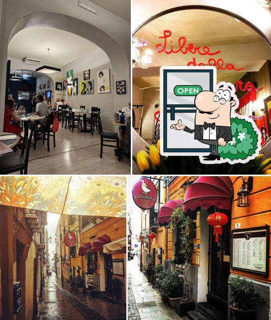 L'oca Bianca si caratterizza per la esterno e interni