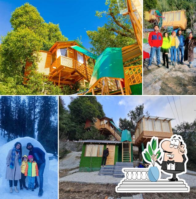Check out how Manali treehouse & cafe looks outside