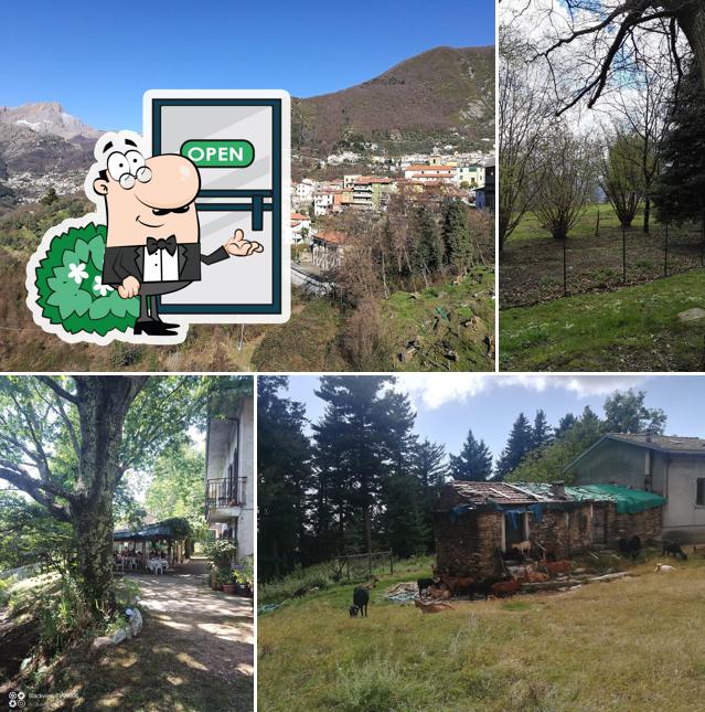 Bar Trattoria La Capanna