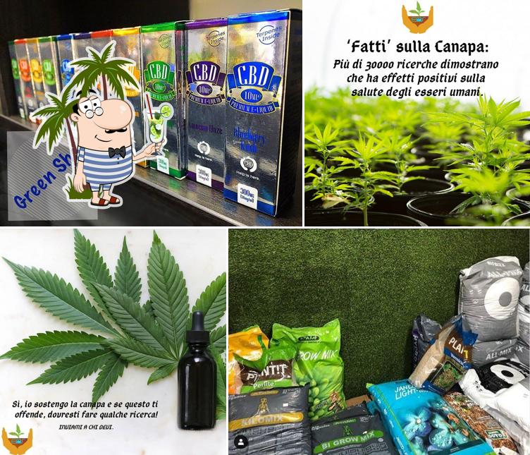 Eos Grow Shop Licata