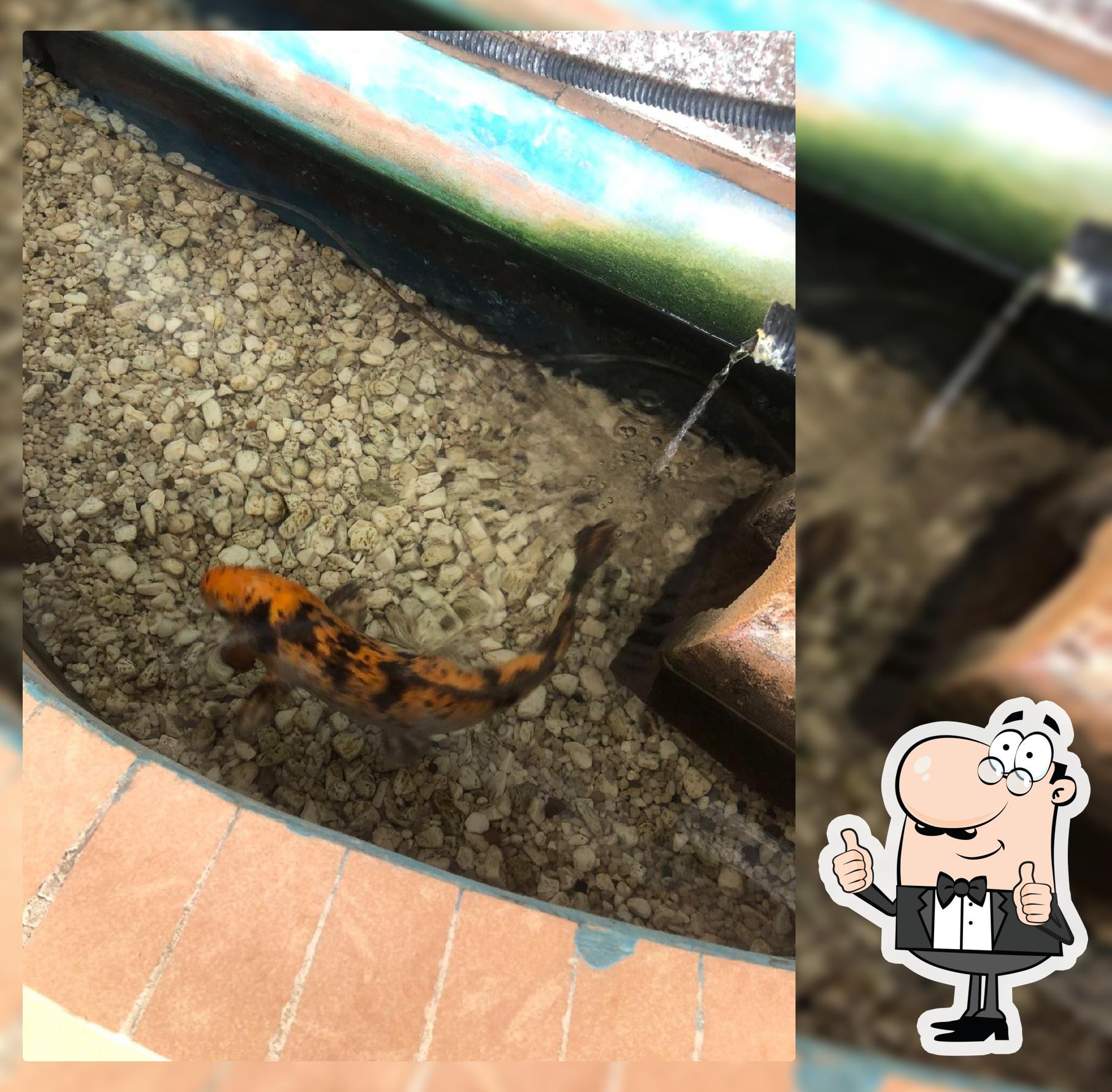 Le Palais Impérial d'Havré