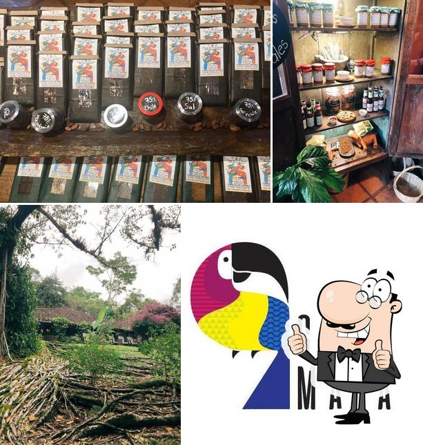 Ecco una foto di Casa Maya