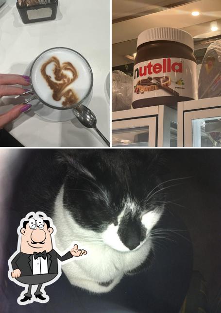 Dai un'occhiata agli interni di Nocera Cafè