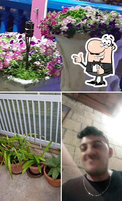 Guarda questa foto di Roxy Bar