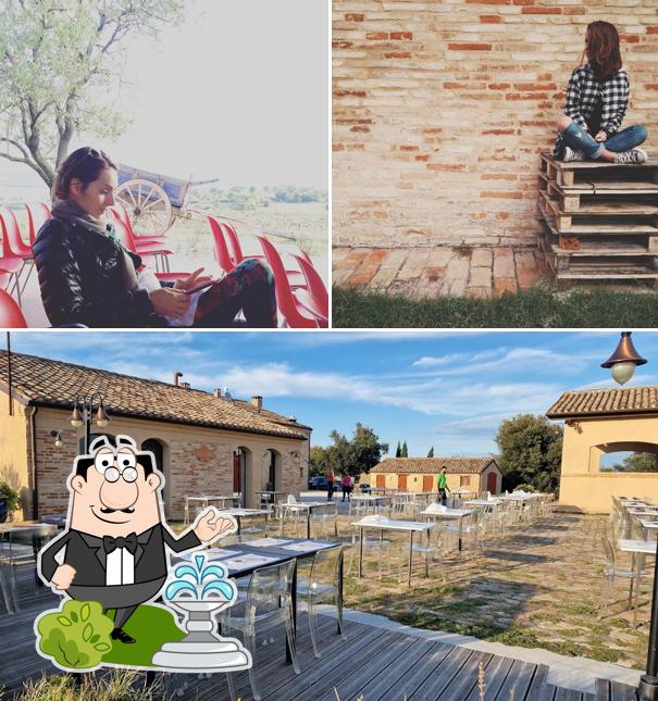 Curiosa tra l'area esterna di Ca' Vecchia Beerstrot