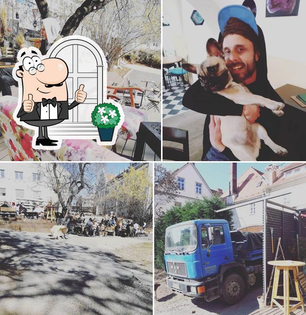 City Garden si caratterizza per la esterno e interni