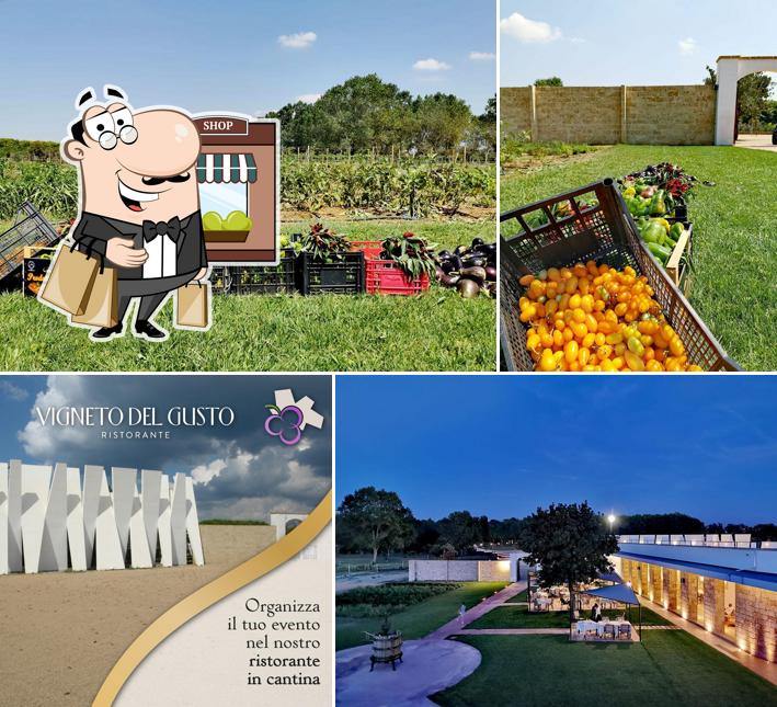 Guarda gli esterni di Vigneto