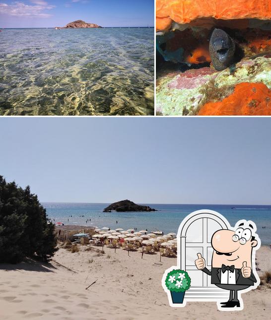 Puoi goderti l'aria fresca dal dehors di Araj