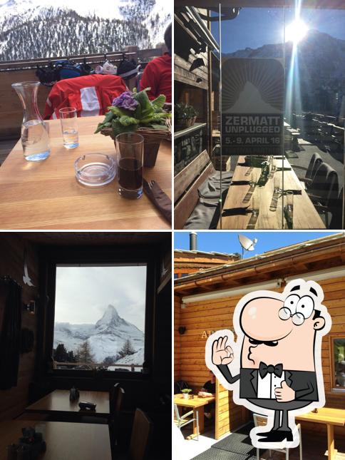 Ecco un'immagine di Adler Hitta