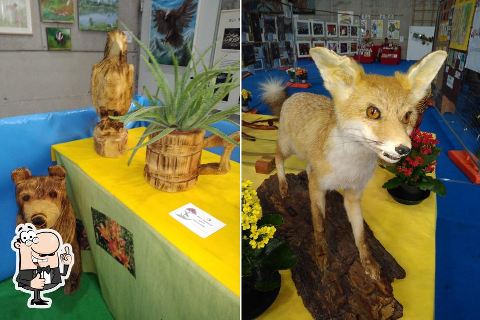 Foto di bar stazione pensilina