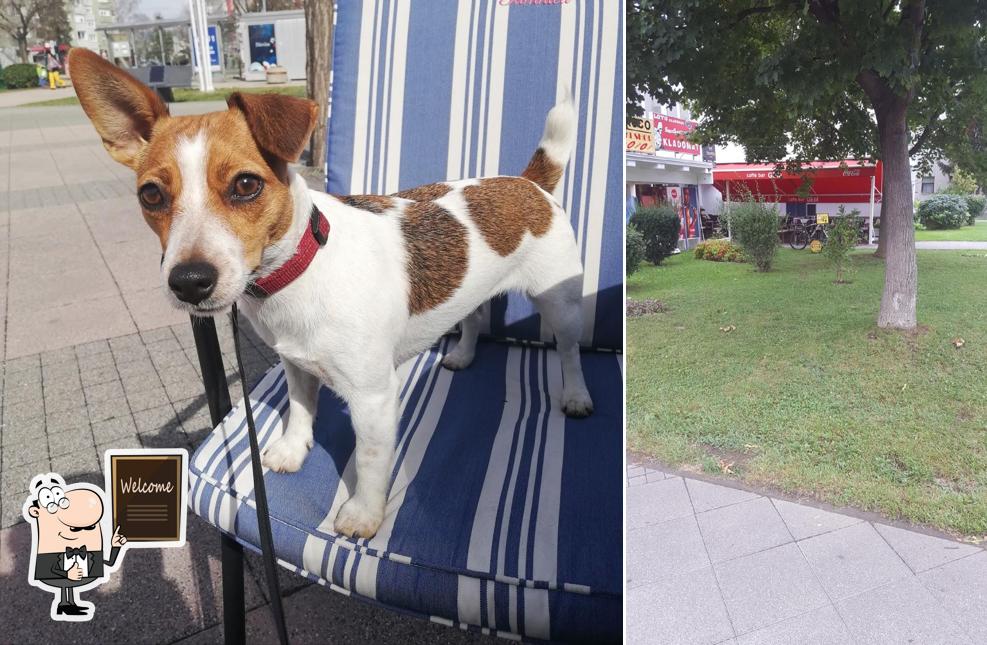 Ecco una foto di Cafe Gem