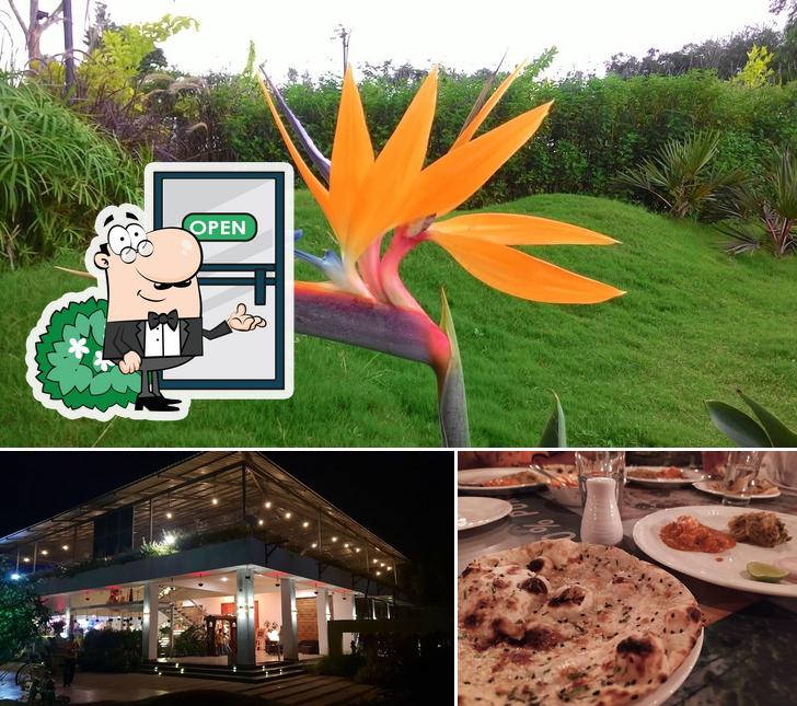 Among different things one can find exterior and pizza at Palm Shells