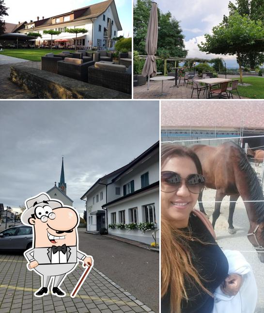 Curiosa tra l'area esterna di Landgasthof Grüenebode