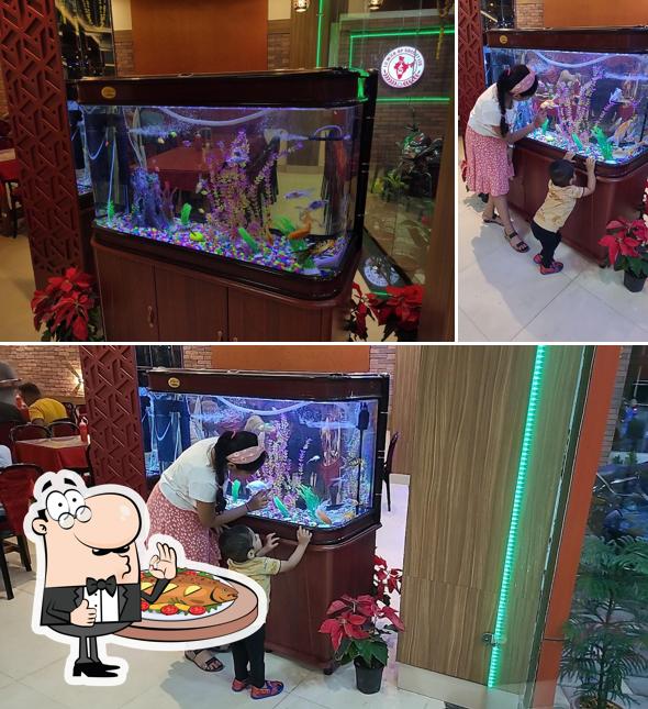 Indian Coffee House Tilhari Jabalpur provides a menu for seafood lovers