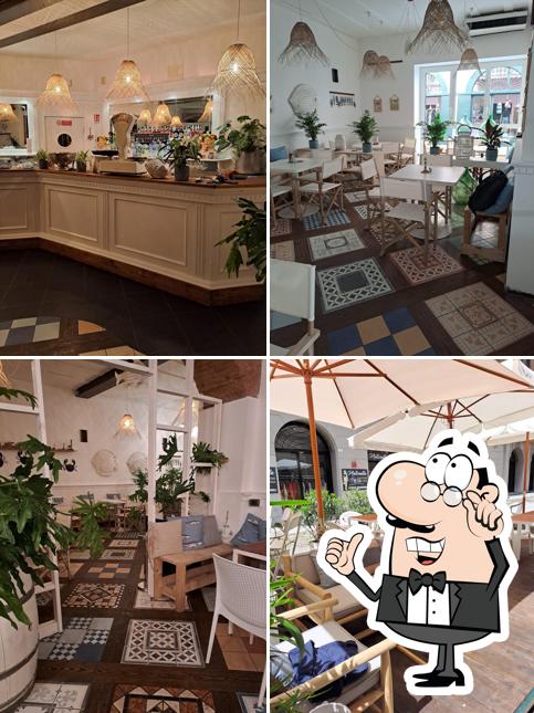 Gli interni di Pesciolino