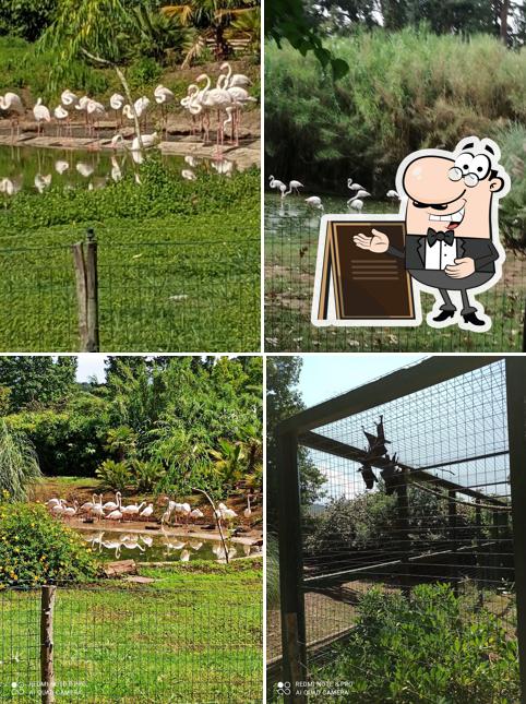 San Bartolomeo Green Events - Experience Park