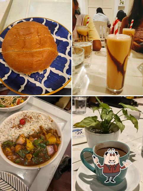 Meals at Cafe 16 Satyanagar