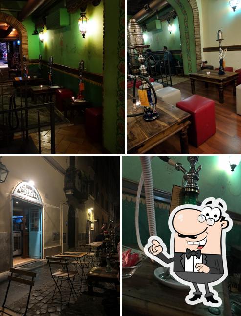 Découvrez l'intérieur de Shishà