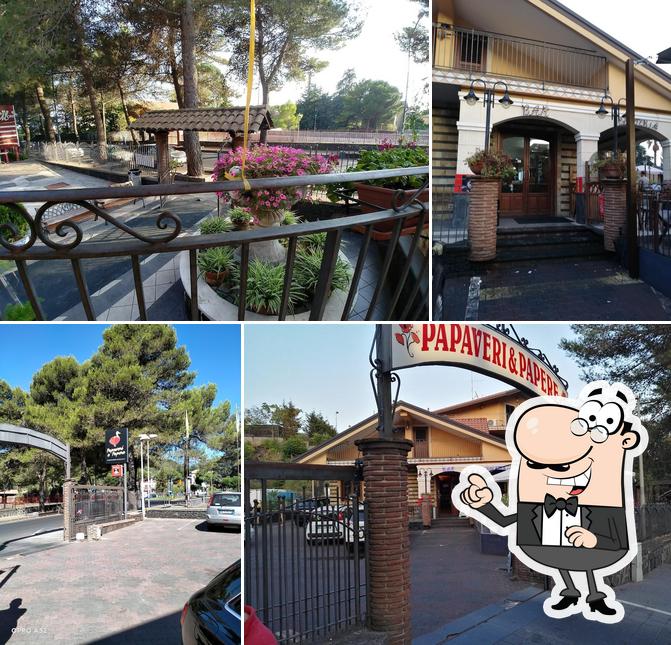 Guarda gli esterni di Papaveri & Papere