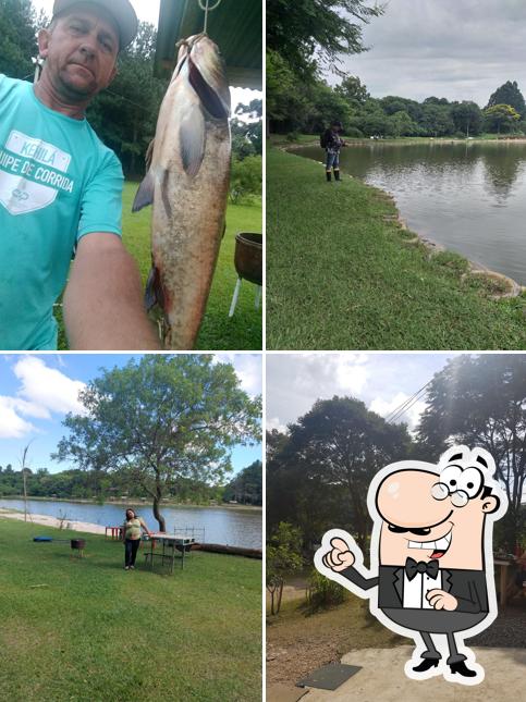 Veja a área externa do Pesca Esportiva (Pesque e Solte ) Vila Angélica