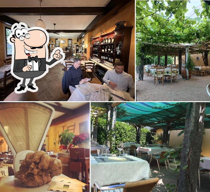 Dai un'occhiata agli interni di Crotto dei Tigli