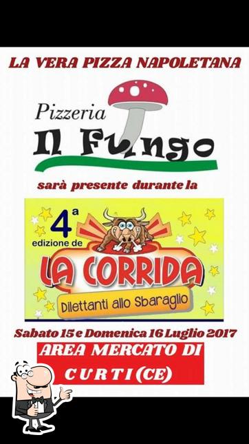 Vedi la immagine di Il Fungo