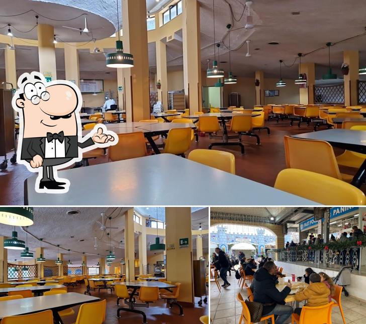 Gli interni di Self Service Safari