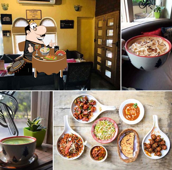 Food at Rock the Salt