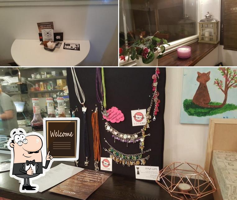Ecco un'immagine di Cat caffe