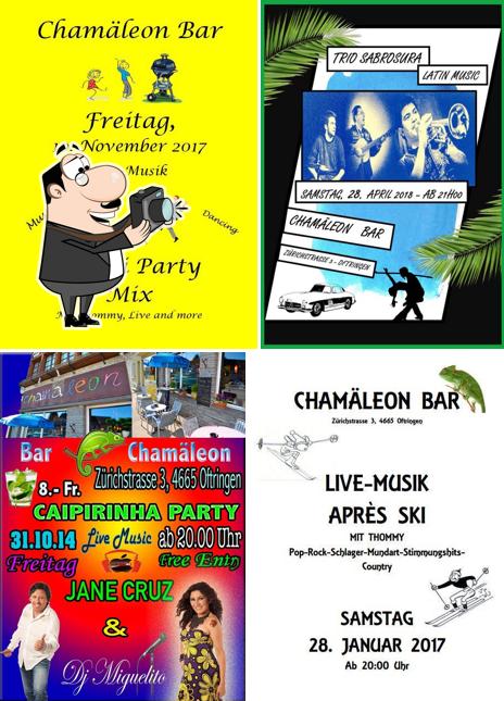 Immagine di Chamaleon