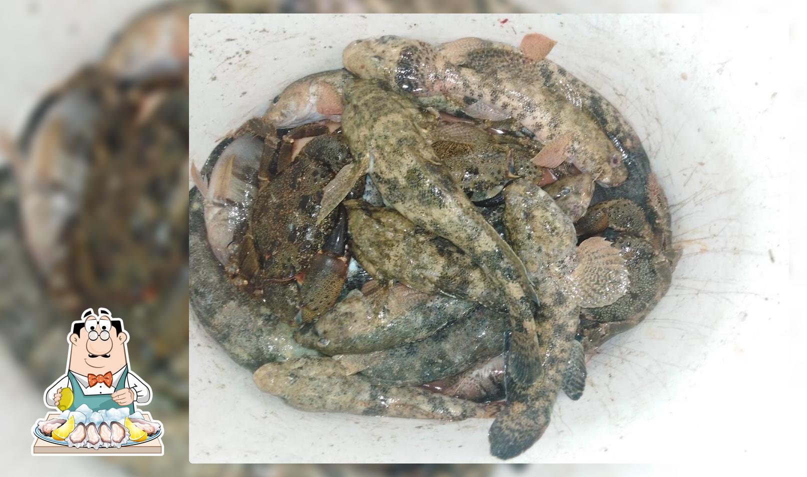 Degusta i sapori della cucina di mare al ristorante RESTORAN VUJA