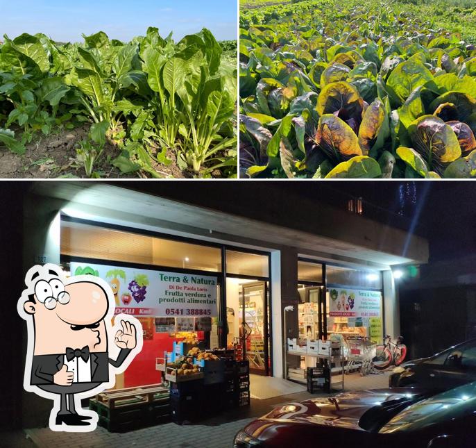 Vedi la immagine di Terra e Natura - Frutta Verdura e Prodotti Alimentari km0