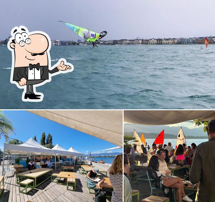 Tra le diverse cose da Tropical Corner si possono trovare la interni e esterno