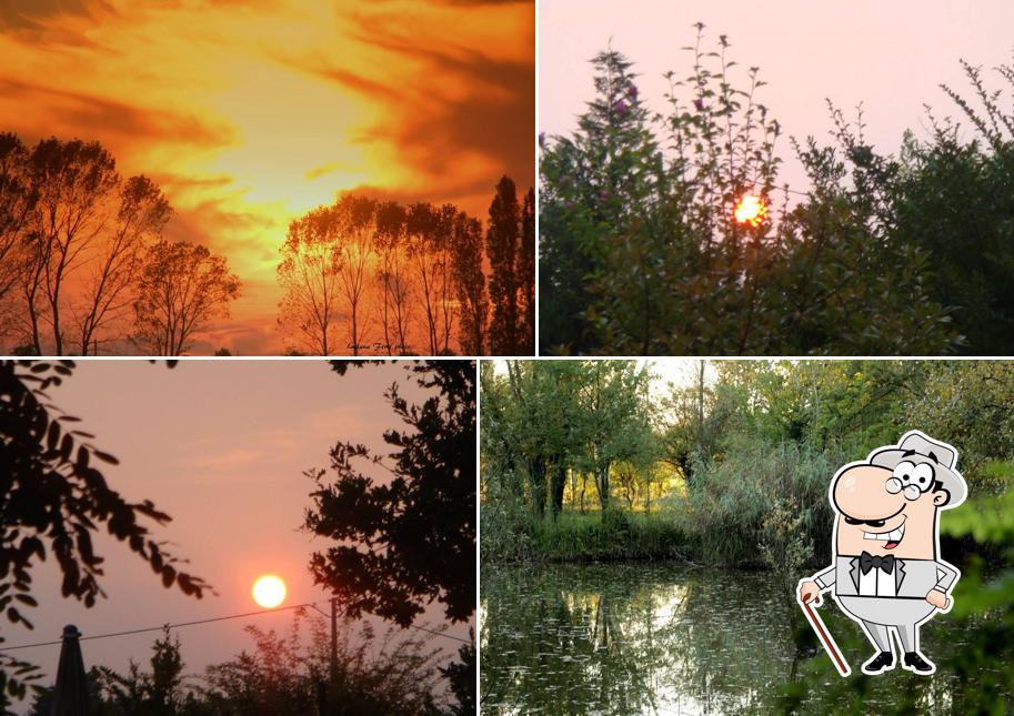 Puoi goderti l'aria fresca da seduto all'esterno di il giardino del " DELTA "