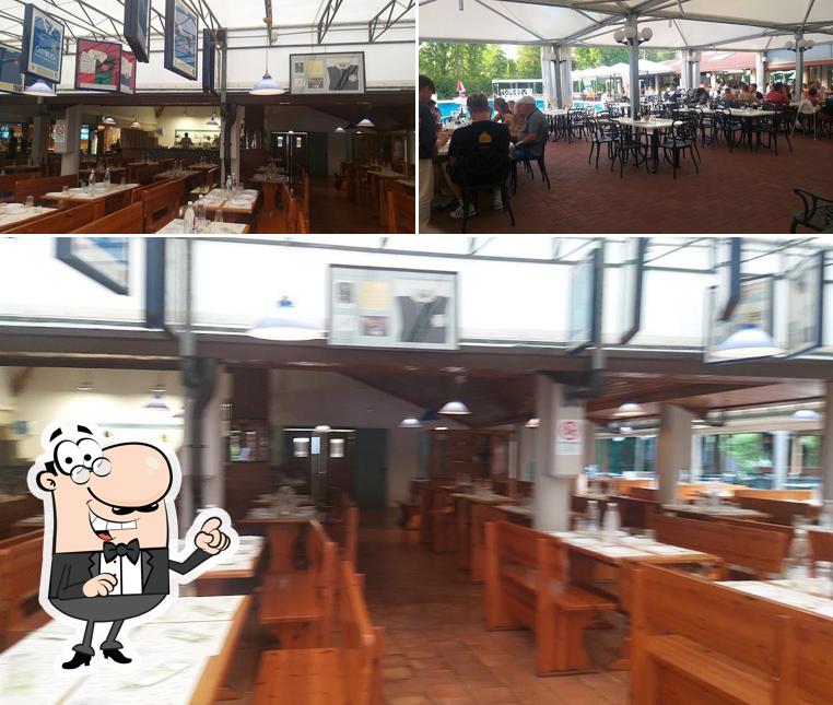 Dai un'occhiata agli interni di Vivas