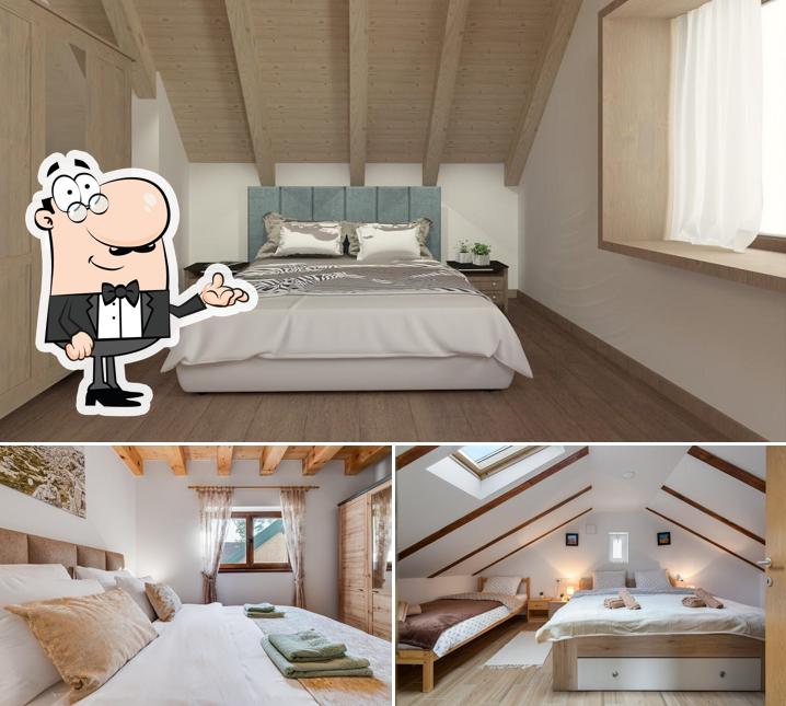 Dai un'occhiata agli interni di SOKOL - Feel good estate