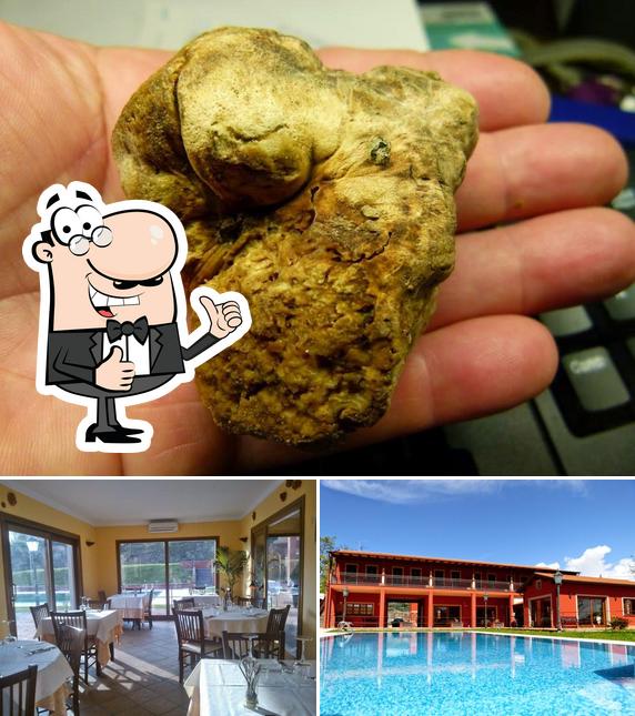 Ecco una foto di Amalaluna