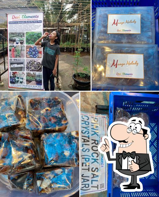 Parampara Desi Elements