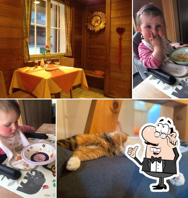 Gli interni di Gasthaus Sonne