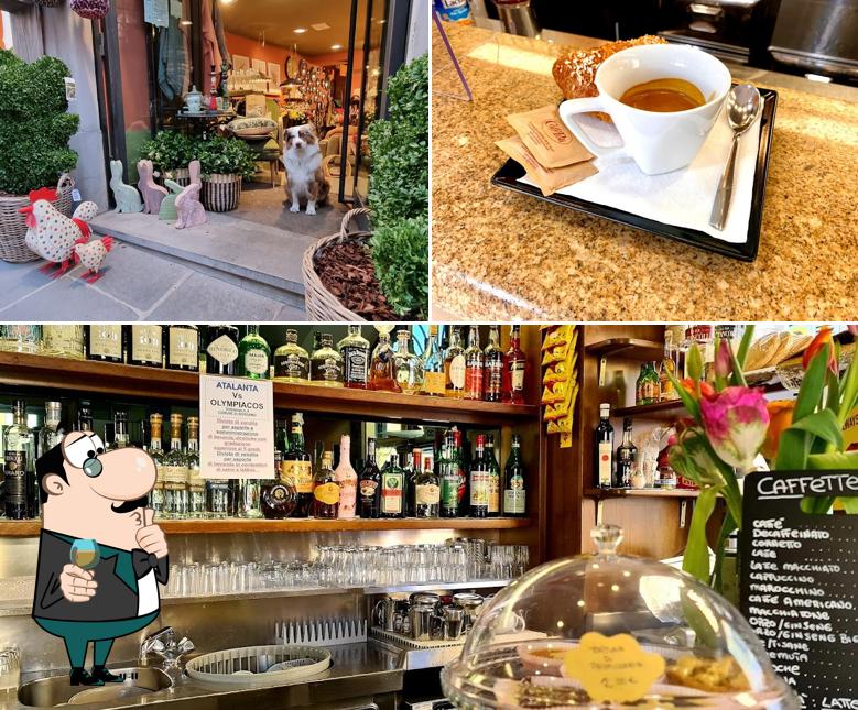 PLOOM Store - Bar Tabacchi di Gamba Luca - Bergamo