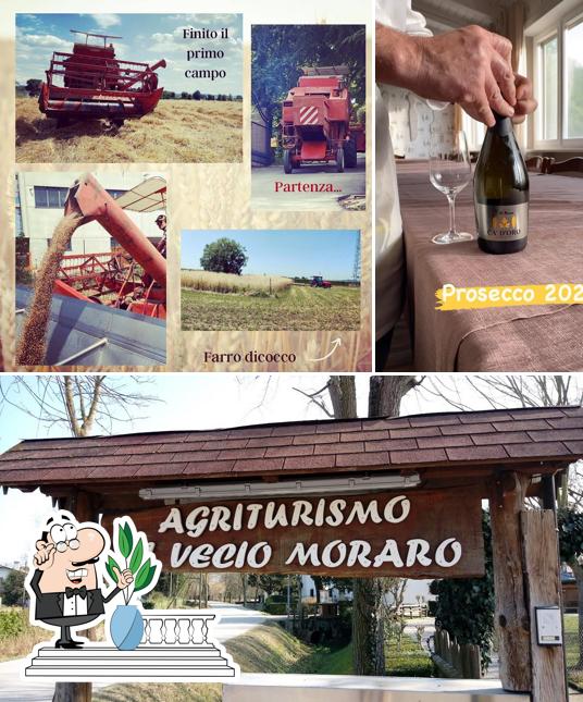 Questa è la immagine che raffigura la esterno e bevanda di Agriturismo Al Vecio Moraro