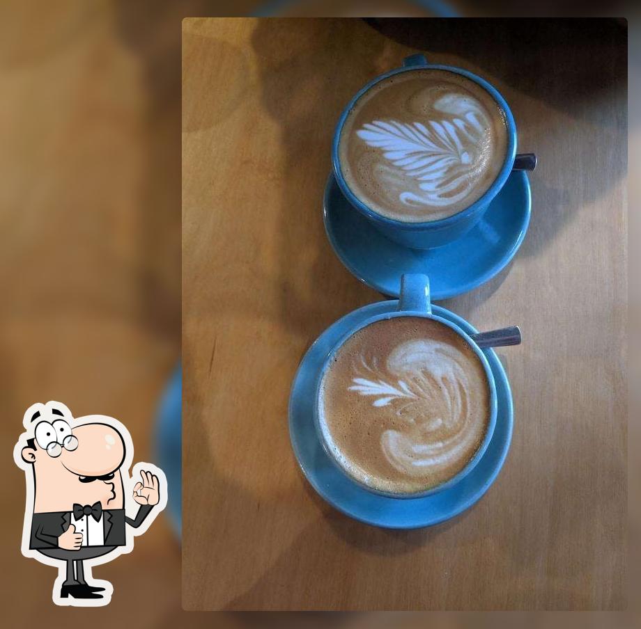 Blue Tokai Coffee Jaipur