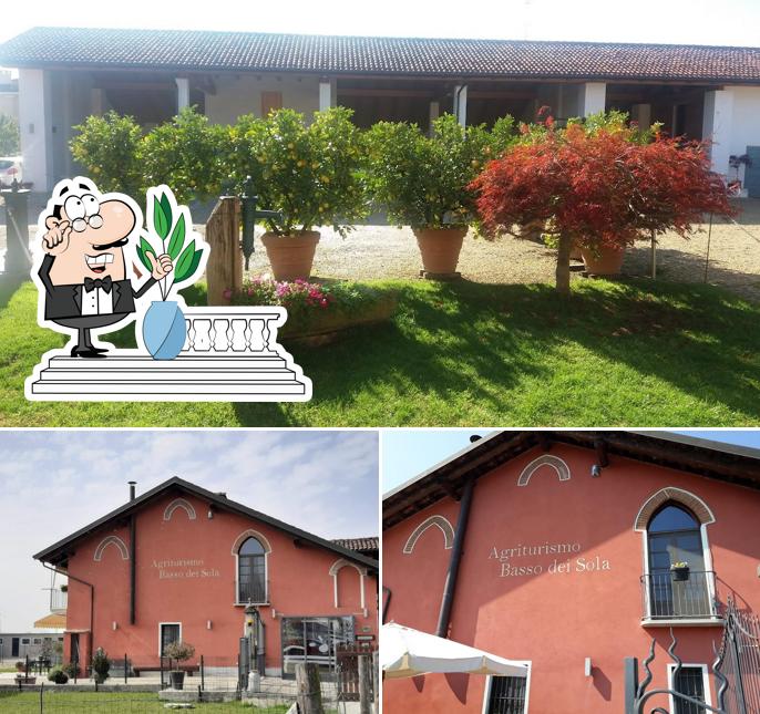 Curiosa tra la parte esterna di Agriturismo Basso dei Sola
