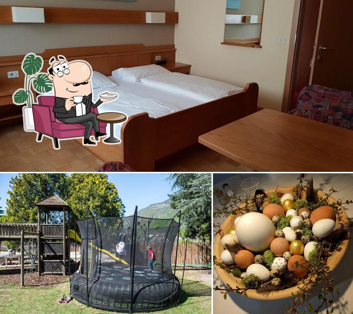 Dai un'occhiata agli interni di Hotel Steiner