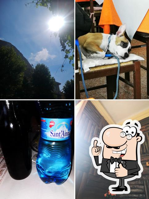 Ristorante Bar L' Oasi