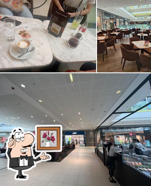 Torterie Macaron - CCO Split