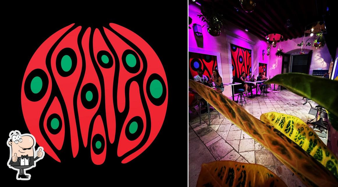 Ecco un'immagine di POKUS street food bar